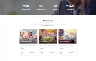 Website Designer WordPress