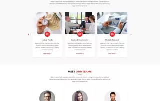 Website Designer WordPress